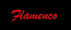 Schweiz Unternehmen Almacén FlamencoschuleKarin Solera im Zürich ZH