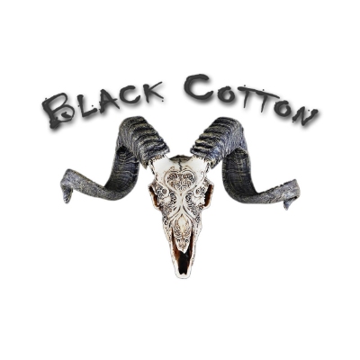 Schweiz Unternehmen Black Cotton GmbH im Niedergösgen 